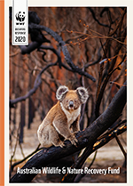 Bushfires response 2020 cover