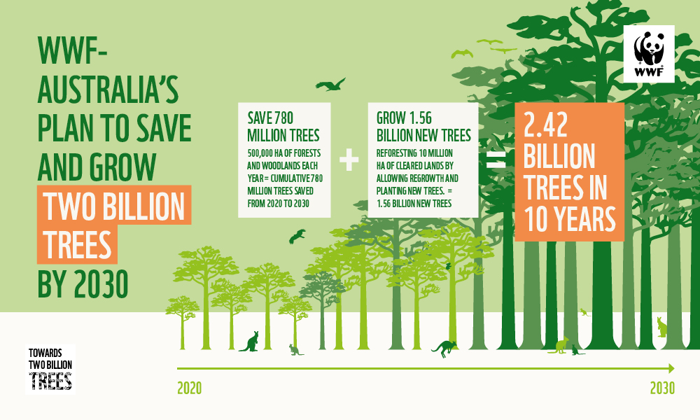 Towards two billion trees infographic