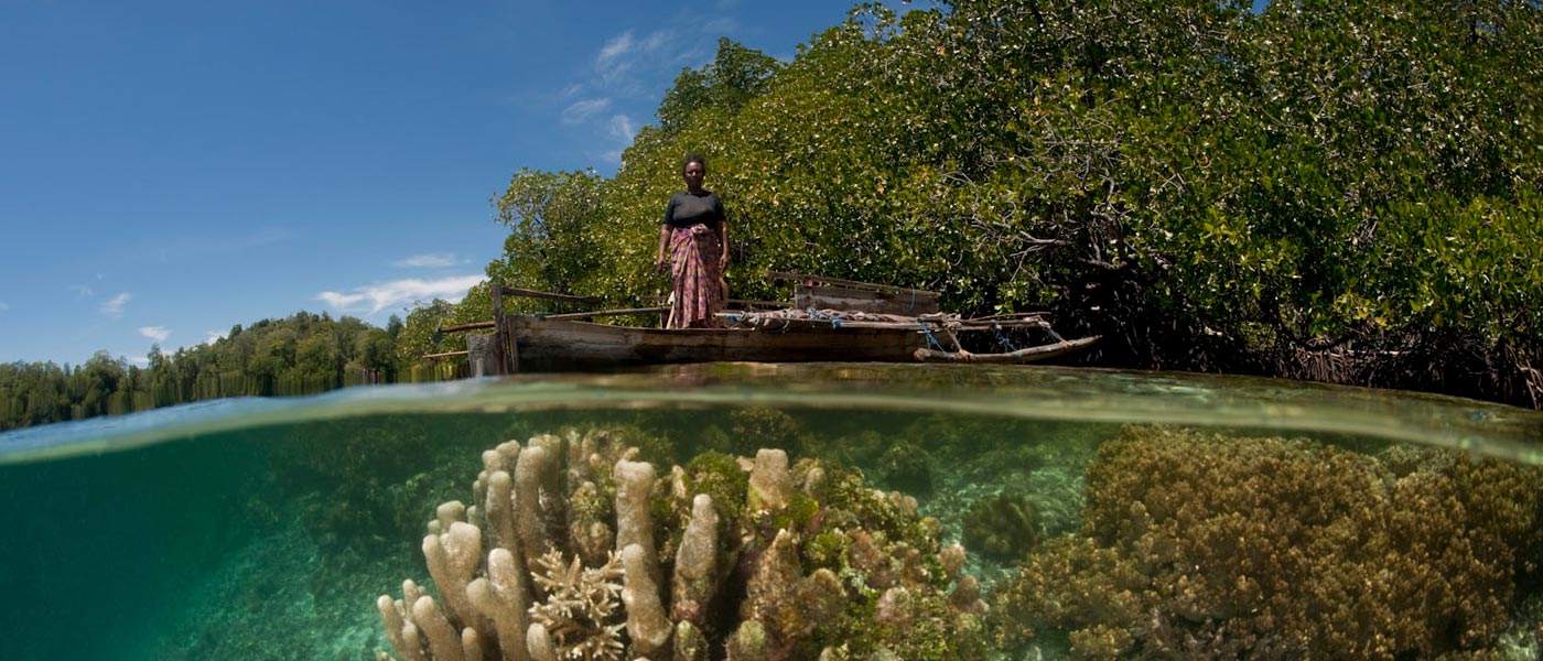 Split level of a shallow coral reef and mangroves with local West Papuan woman in her dugout canoe. West Papua, Indonesia © Jürgen Freund / WWF