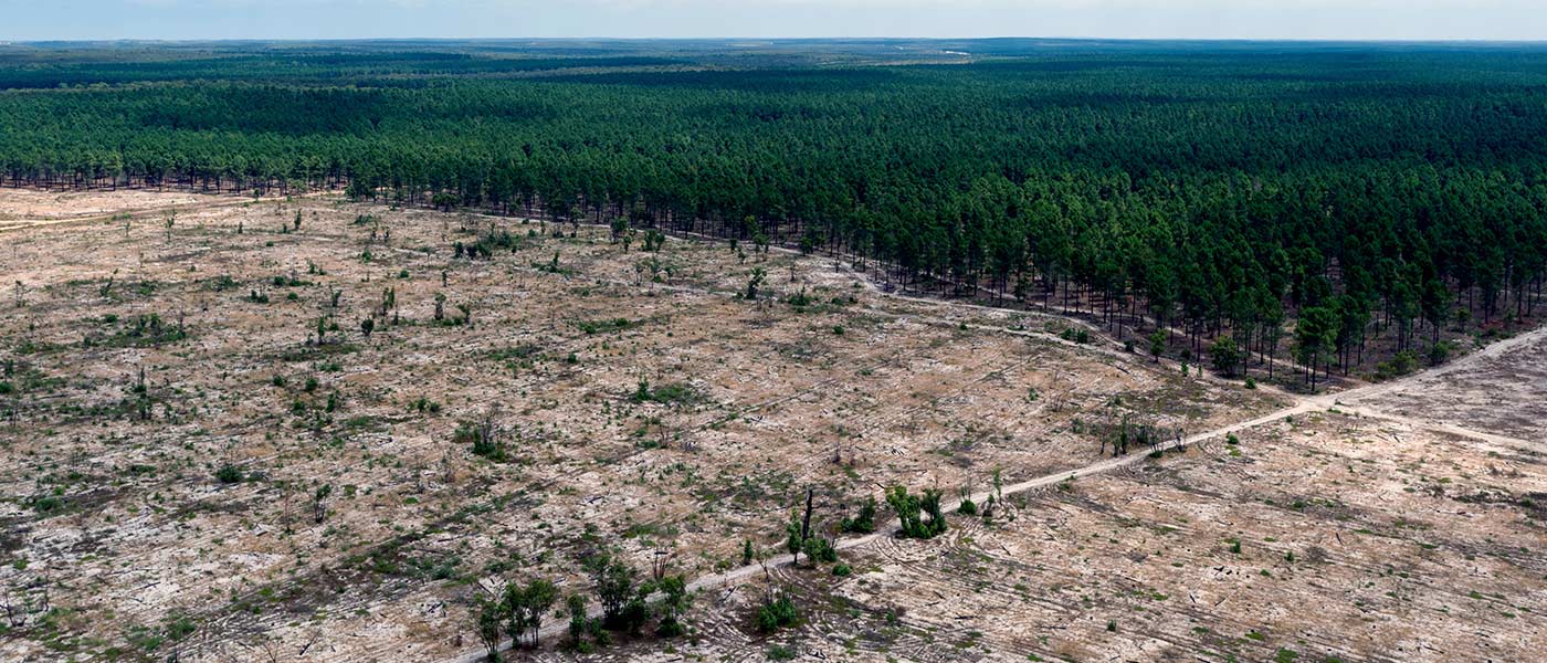 Aerial view cleared pine plantations in Gnangara-moore River State Forest. Yanchep, Western Australia © WWF-Aus / Pixel Pilot