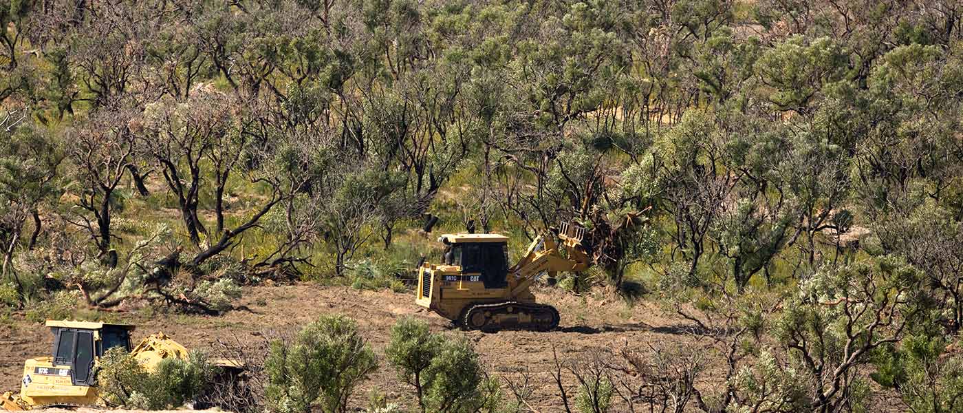 Trees being cleared near Perth, Western Australia