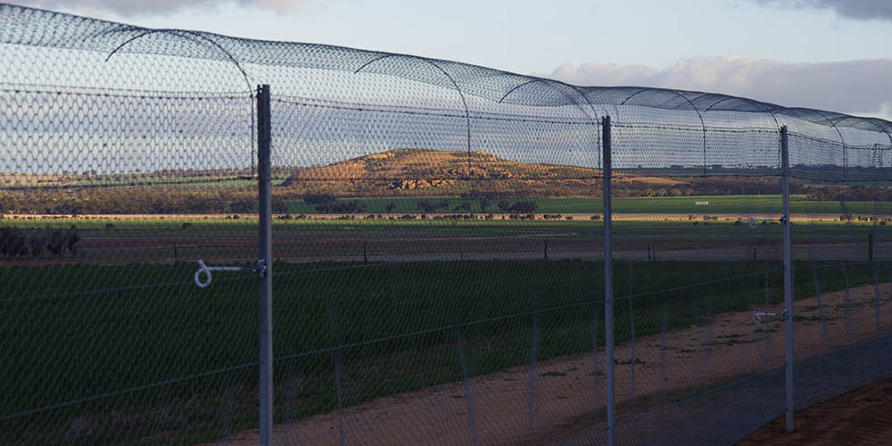 Nangeen Hill fence © Phil Lewis / DPaW / WWF-Aus