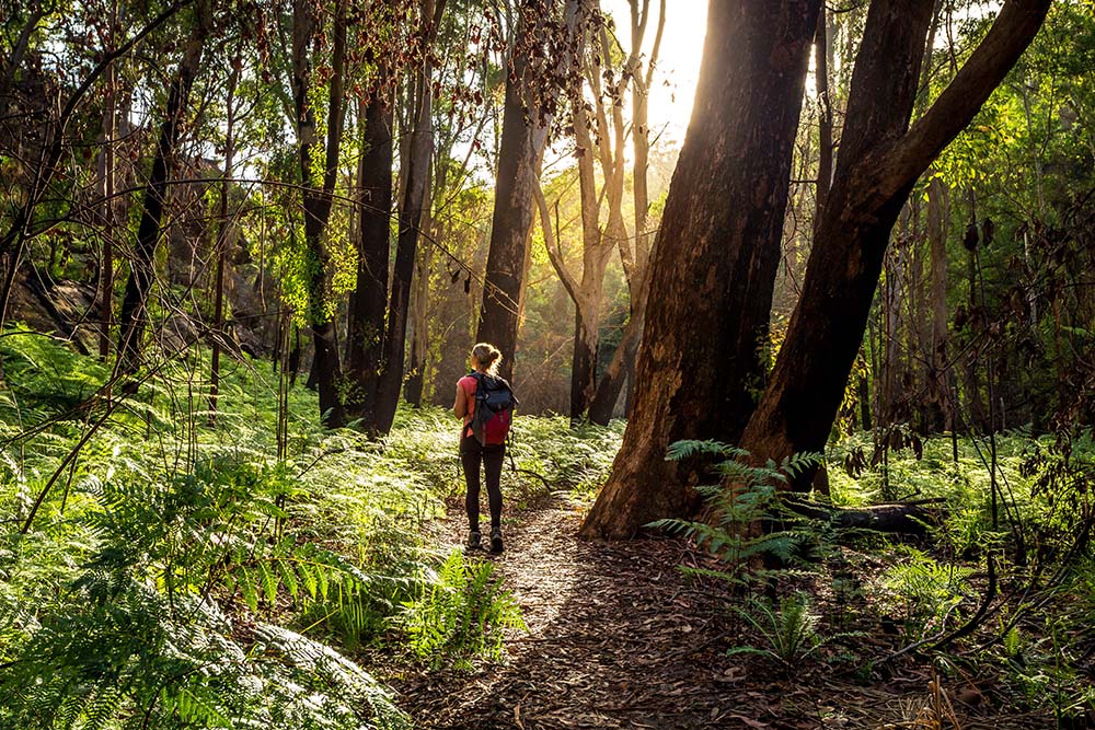 Hiker walking in the Australian bushland ©Leah-Anne Thompson - stock.adobe.com