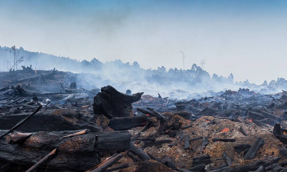 Bushfire and deforestation in Australian outback © Shutterstock / Jamen Percy / WWF