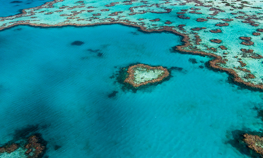 Aerial view of Hardy Reef taken on 20 June 2017 to assess if the Heart Reef has been bleached © WWF-Aus / Christian Miller