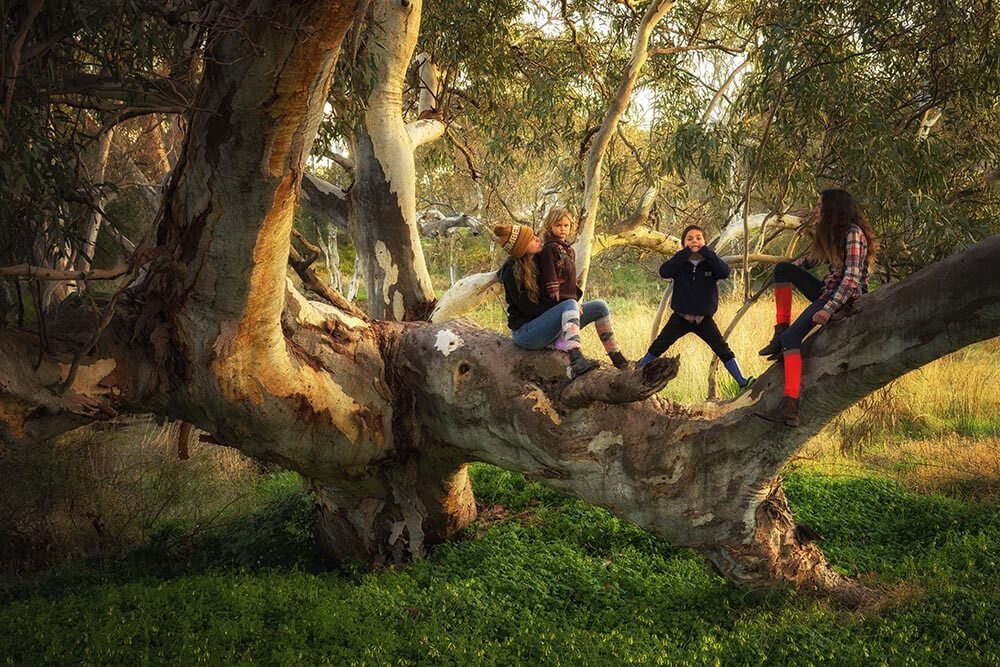 Kids playing in a tree © Didi Photos / WWF-Aus