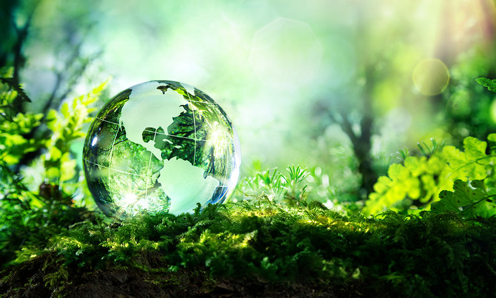 Crystal globe resting on moss in a forest © Shutterstock / Romolo Tavani / WWF