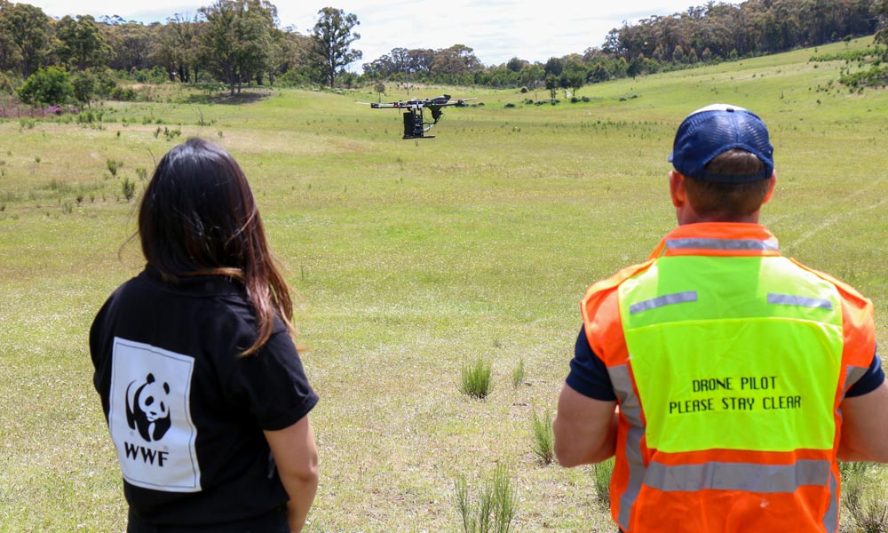 WWF-Australia and AirSeed Technologies trialling drone seeding © WWF-Australia / Paul Fahy