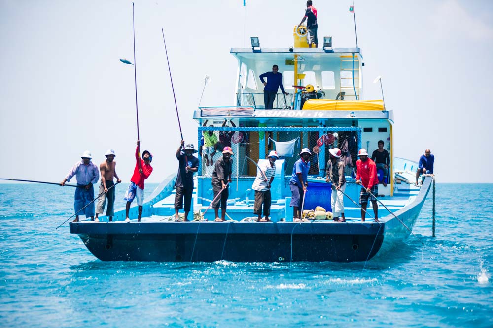 MSC Maldives skipjack fishery © Nice and Serious / MSC