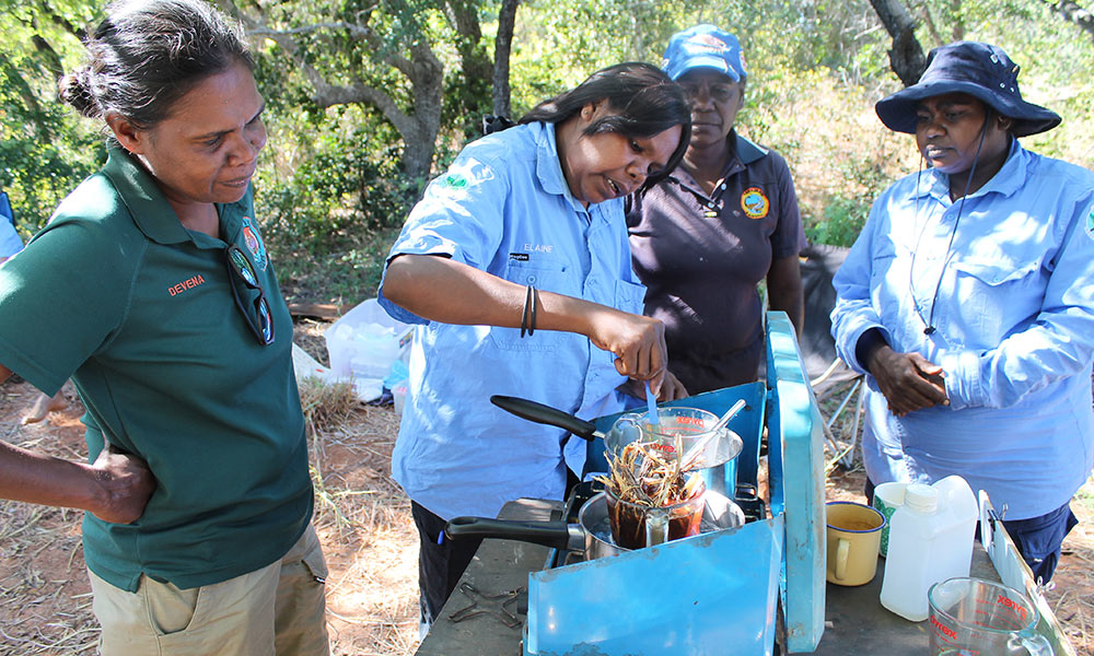 Women rangers transforming native plants into bush products © Kimberley Land Council