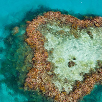 heart reef
