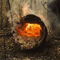 Burning log during NSW bushfire