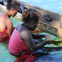 Collecting seaweed, Solomon Islands, IFADs trip, November 2013 © Mark Bristow / WWF-PNG 
